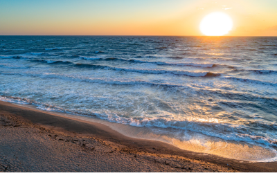 Andhra Pradesh Could See 20 Cm Sea-Level Rise By 2050, Climate Models Warn