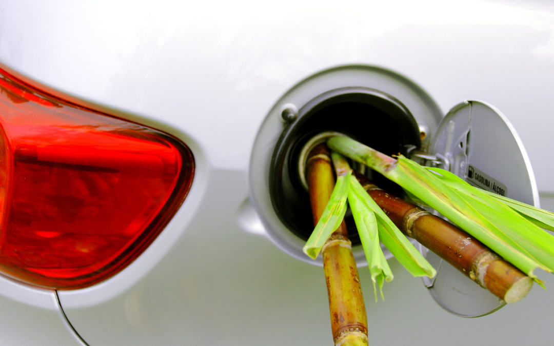 Supreme Court Dismissed PIL Against Mandatory E20 Blending, Declines Ethanol-Free Option