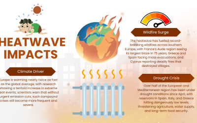 Extreme hittegolf in augustus in Europa veroorzaakt recordbosbranden en angst voor droogte