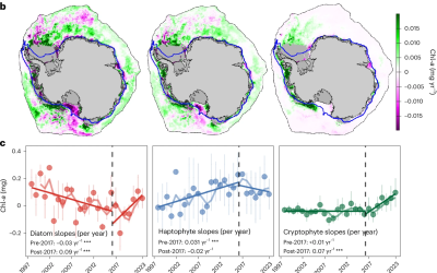 Verschuivingen in het Antarctische fytoplankton kunnen de koolstofopslag en mariene voedselwebben verstoren